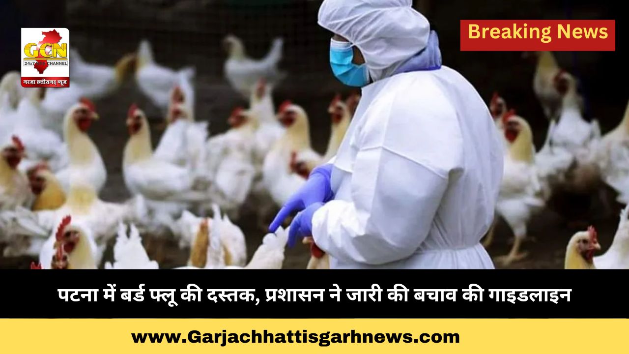 पटना में बर्ड फ्लू की दस्तक, प्रशासन ने जारी की बचाव की गाइडलाइन पटना में बर्ड फ्लू की दस्तक, प्रशासन ने जारी की बचाव की गाइडलाइन