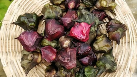 सेहत के लिए वरदान है सिंघाड़ा, स्किन से लेकर बवासीर तक को दूर करने में है कारगर 