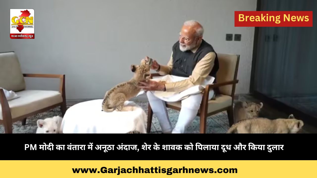 PM मोदी का वंतारा में अनूठा अंदाज, शेर के शावक को पिलाया दूध और किया दुलार