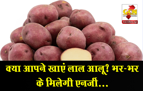 क्या आपने खाएं लाल आलू? भर-भर के मिलेगी एनर्जी...
