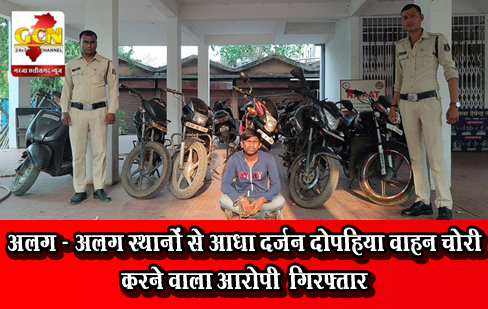 अलग - अलग स्थानों से आधा दर्जन दोपहिया वाहन चोरी करने वाला आरोपी गिरफ्तार अलग - अलग स्थानों से आधा दर्जन दोपहिया वाहन चोरी करने वाला आरोपी गिरफ्तार