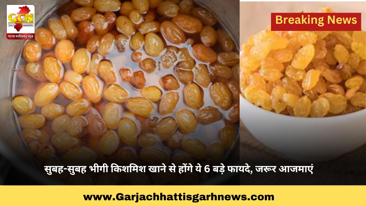 सुबह-सुबह भीगी किशमिश खाने से होंगे ये 6 बड़े फायदे, जरूर आजमाएं