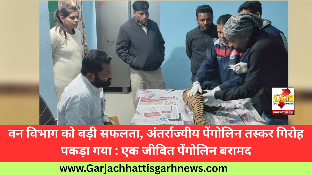 वन विभाग को बड़ी सफलता, अंतर्राज्यीय पेंगोलिन तस्कर गिरोह पकड़ा गया : एक जीवित पेंगोलिन बरामद
