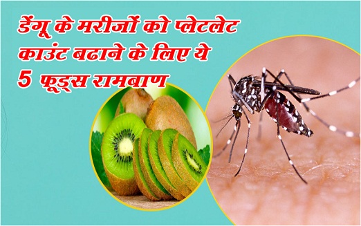 डेंगू के मरीजों को प्लेटलेट काउंट बढाने के लिए ये 5 फूड्स रामबाण