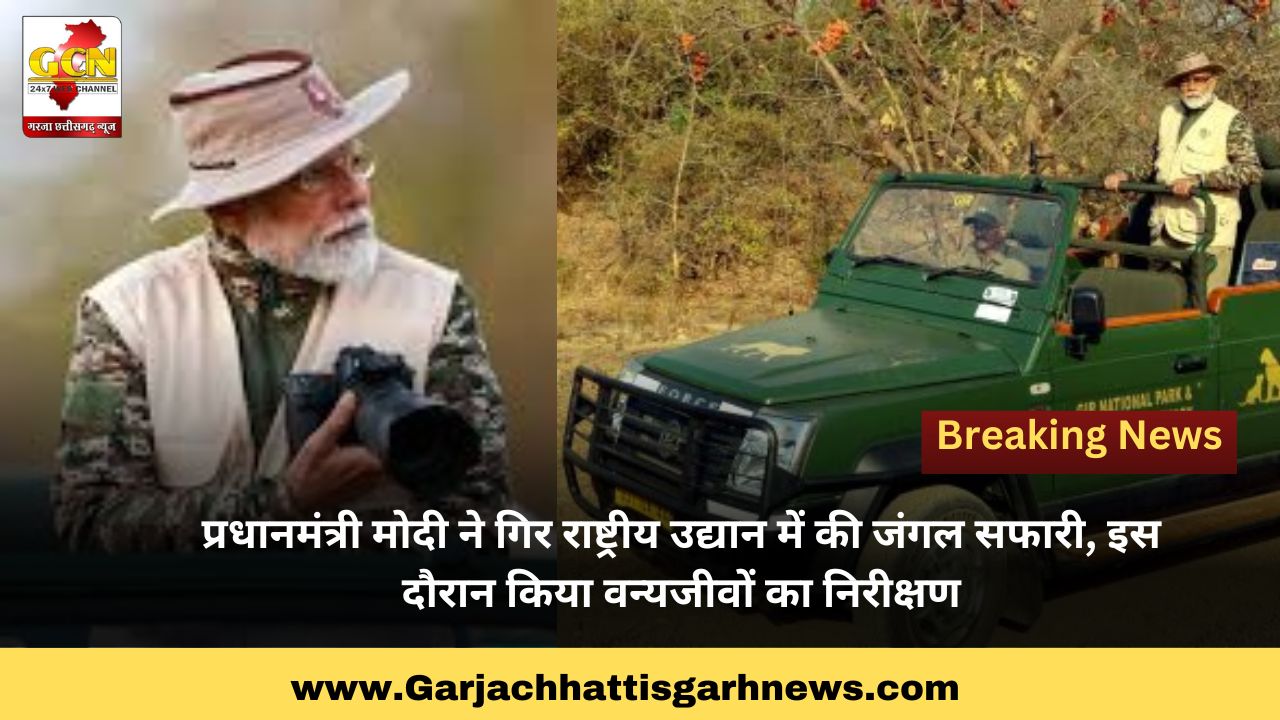 प्रधानमंत्री मोदी ने गिर राष्ट्रीय उद्यान में की जंगल सफारी, इस दौरान किया वन्यजीवों का निरीक्षण