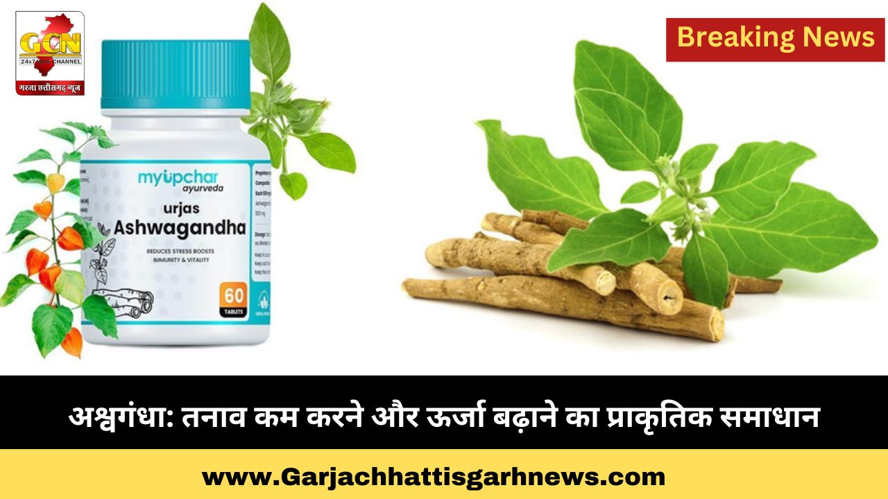 अश्वगंधा: तनाव कम करने और ऊर्जा बढ़ाने का प्राकृतिक समाधान