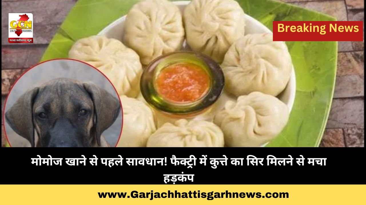 मोमोज खाने से पहले सावधान! फैक्ट्री में कुत्ते का सिर मिलने से मचा हड़कंप मोमोज खाने से पहले सावधान! फैक्ट्री में कुत्ते का सिर मिलने से मचा हड़कंप