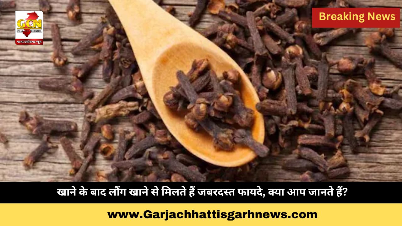 खाने के बाद लौंग खाने से मिलते हैं जबरदस्त फायदे, क्या आप जानते हैं?