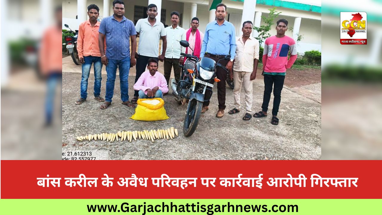 बांस करील के अवैध परिवहन पर कार्रवाई आरोपी गिरफ्तार बांस करील के अवैध परिवहन पर कार्रवाई आरोपी गिरफ्तार