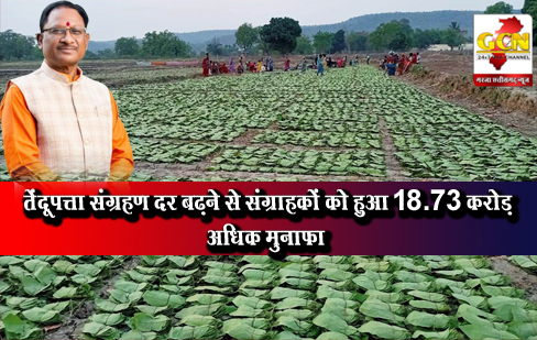 तेंदूपत्ता संग्रहण दर बढ़ने से संग्राहकों को हुआ 18.73 करोड़ अधिक मुनाफा तेंदूपत्ता संग्रहण दर बढ़ने से संग्राहकों को हुआ 18.73 करोड़ अधिक मुनाफा
