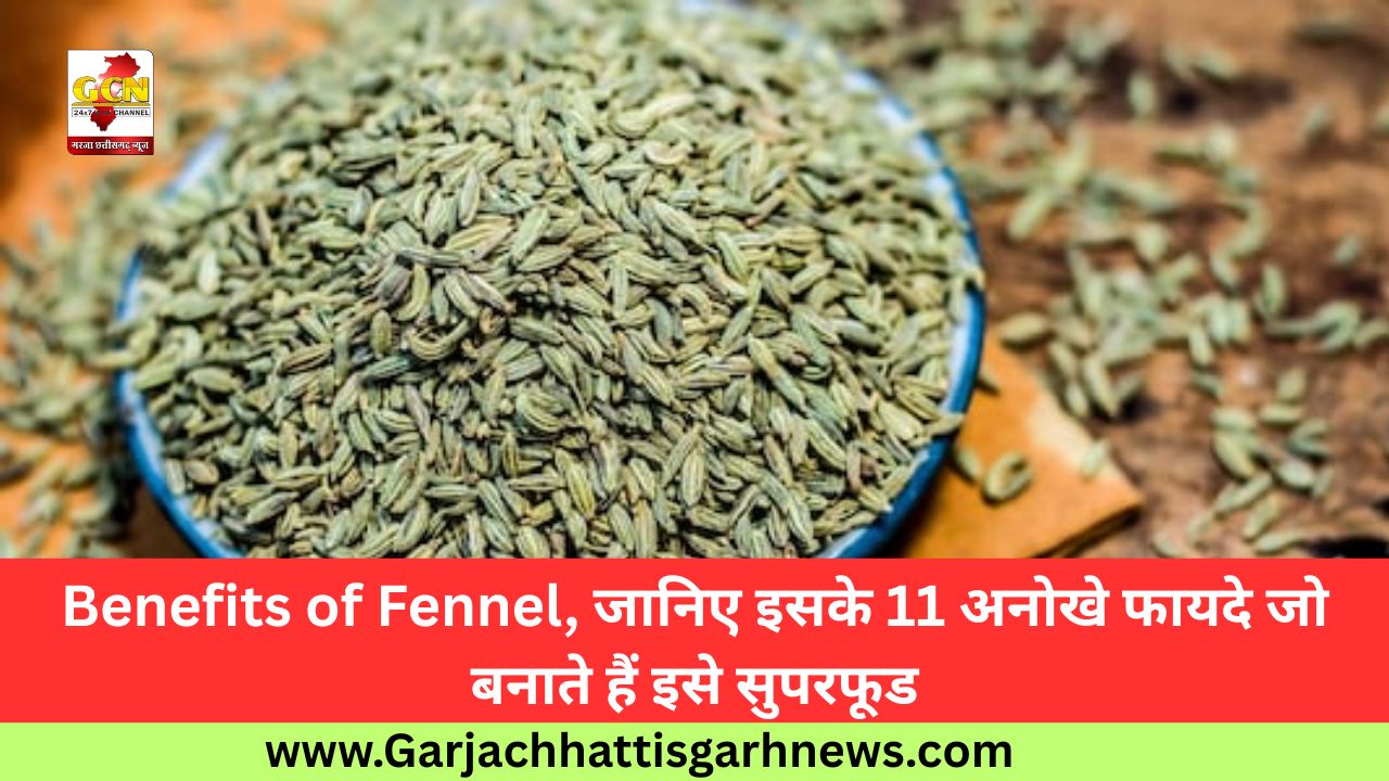 Benefits of Fennel, जानिए इसके 11 अनोखे फायदे जो बनाते हैं इसे सुपरफूड