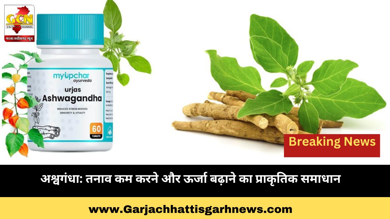 अश्वगंधा: तनाव कम करने और ऊर्जा बढ़ाने का प्राकृतिक समाधान