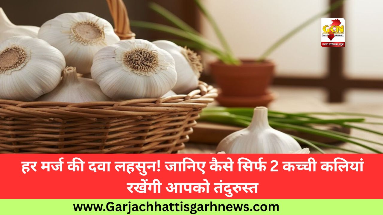 हर मर्ज की दवा लहसुन! जानिए कैसे सिर्फ 2 कच्ची कलियां रखेंगी आपको तंदुरुस्त
