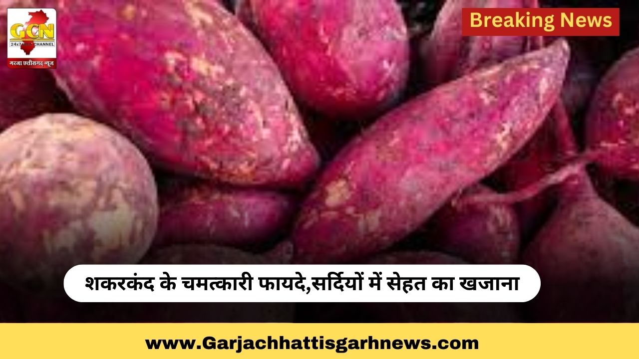 शकरकंद के चमत्कारी फायदे,सर्दियों में सेहत का खजाना