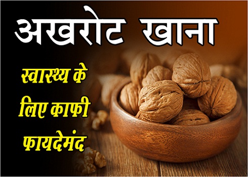 Health News : अखरोट खाना स्वास्थ्य के लिए काफी फायदेमंद, देखे पूरी जानकारी 