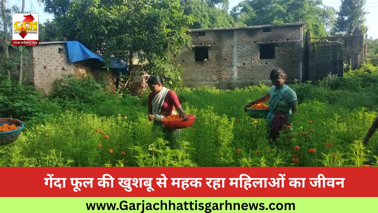 गेंदा फूल की खुशबू से महक रहा महिलाओं का जीवन