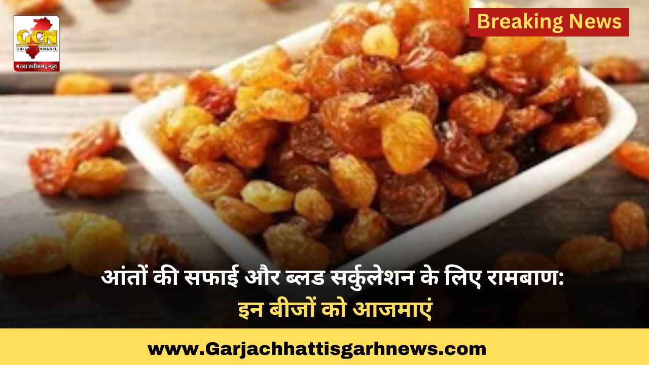 आंतों की सफाई और ब्लड सर्कुलेशन के लिए रामबाण: इन बीजों को आजमाएं