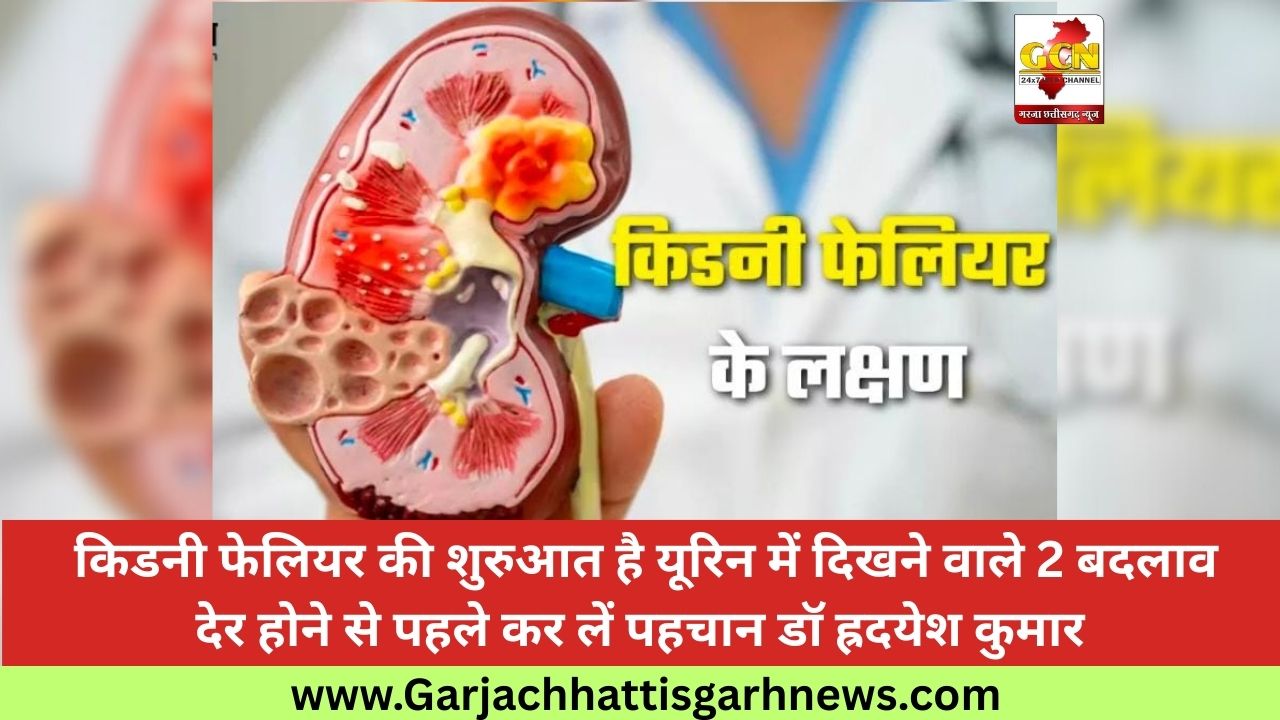 किडनी फेलियर की शुरुआत है यूरिन में दिखने वाले 2 बदलाव  देर होने से पहले कर लें पहचान डॉ ह्रदयेश कुमार 