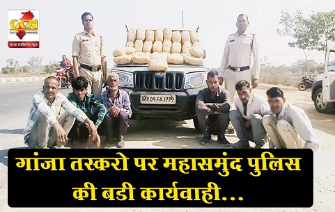 गांजा तस्करो पर महासमुंद पुलिस की बडी कार्यवाही... गांजा तस्करो पर महासमुंद पुलिस की बडी कार्यवाही...