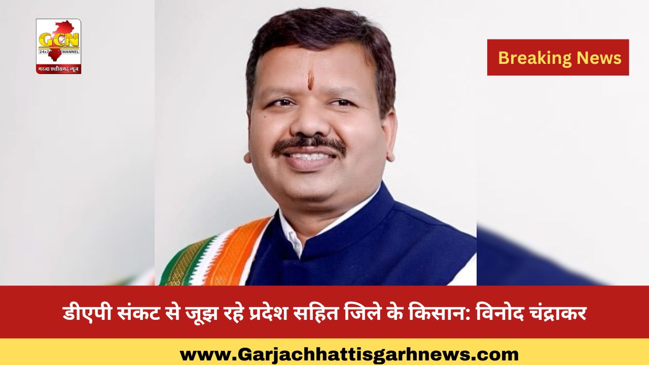 डीएपी संकट से जूझ रहे प्रदेश सहित जिले के किसान: विनोद चंद्राकर डीएपी संकट से जूझ रहे प्रदेश सहित जिले के किसान: विनोद चंद्राकर