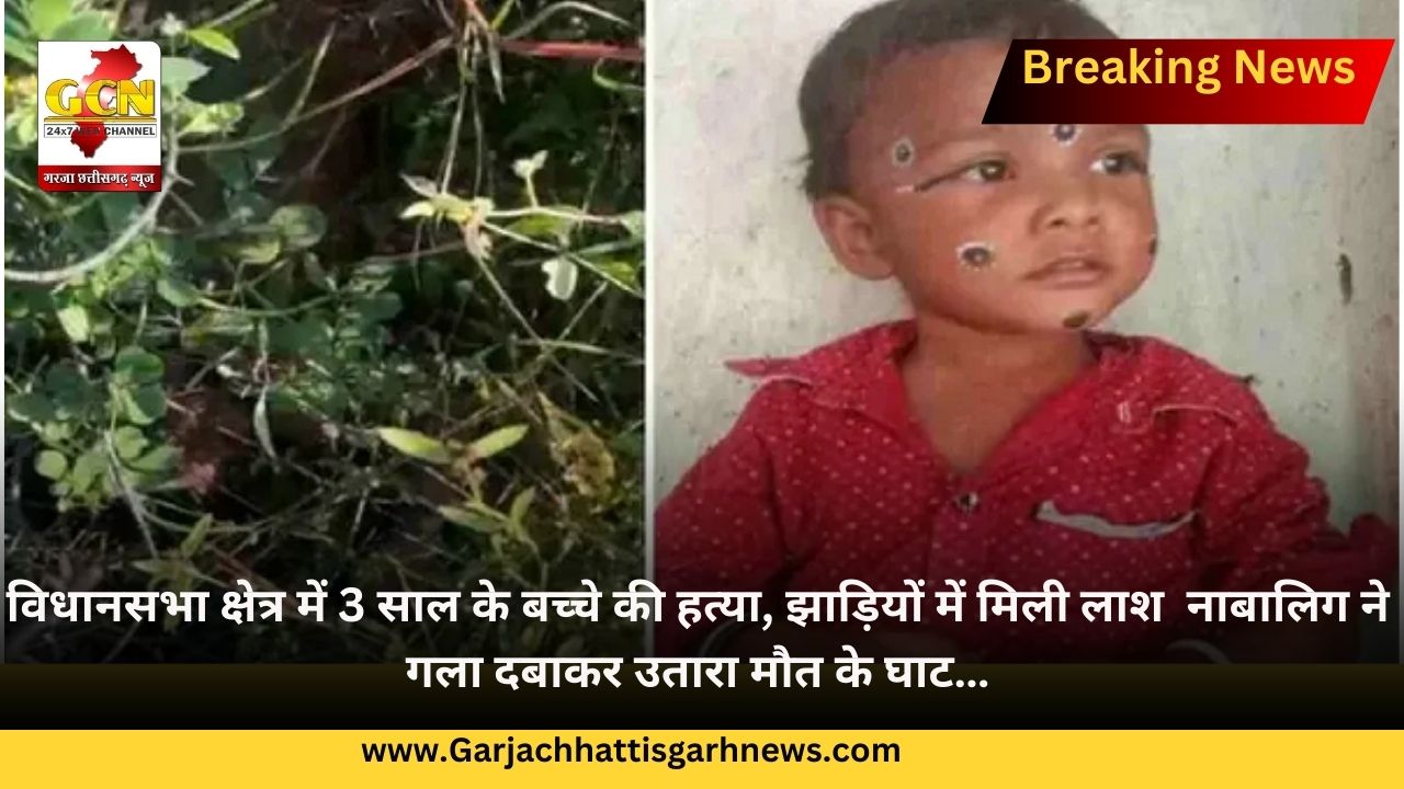 विधानसभा क्षेत्र में 3 साल के बच्चे की हत्या, झाड़ियों में मिली लाश  नाबालिग ने गला दबाकर उतारा मौत के घाट…
