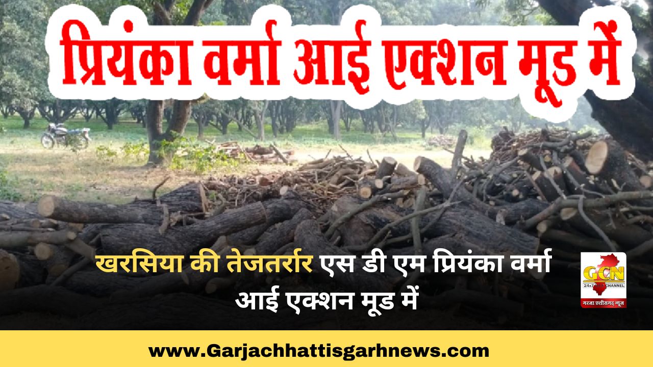 खरसिया की तेजतर्रार एस डी एम प्रियंका वर्मा आई एक्शन मूड में खरसिया की तेजतर्रार एस डी एम प्रियंका वर्मा आई एक्शन मूड में