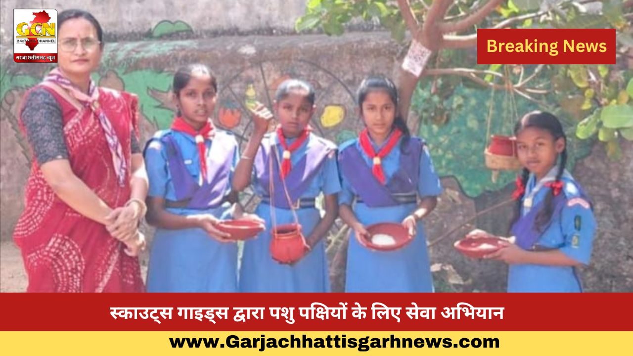 स्काउट्स गाइड्स द्वारा पशु पक्षियों के लिए सेवा अभियान स्काउट्स गाइड्स द्वारा पशु पक्षियों के लिए सेवा अभियान