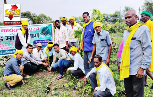 अजजा शासकीय सेवक संघ व केन्द्रीय गोंड महासभा पथरिया के संयुक्त तत्वाधान में वृक्षारोपण किया गया