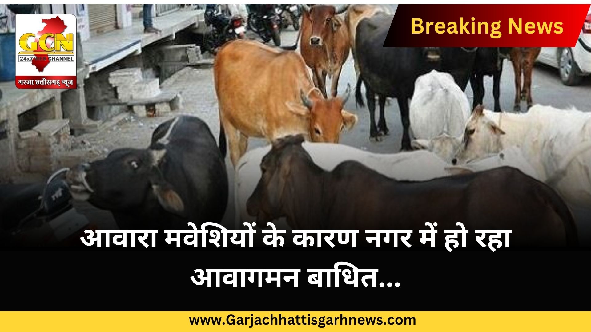 आवारा मवेशियों के कारण नगर में हो रहा आवागमन बाधित... आवारा मवेशियों के कारण नगर में हो रहा आवागमन बाधित...