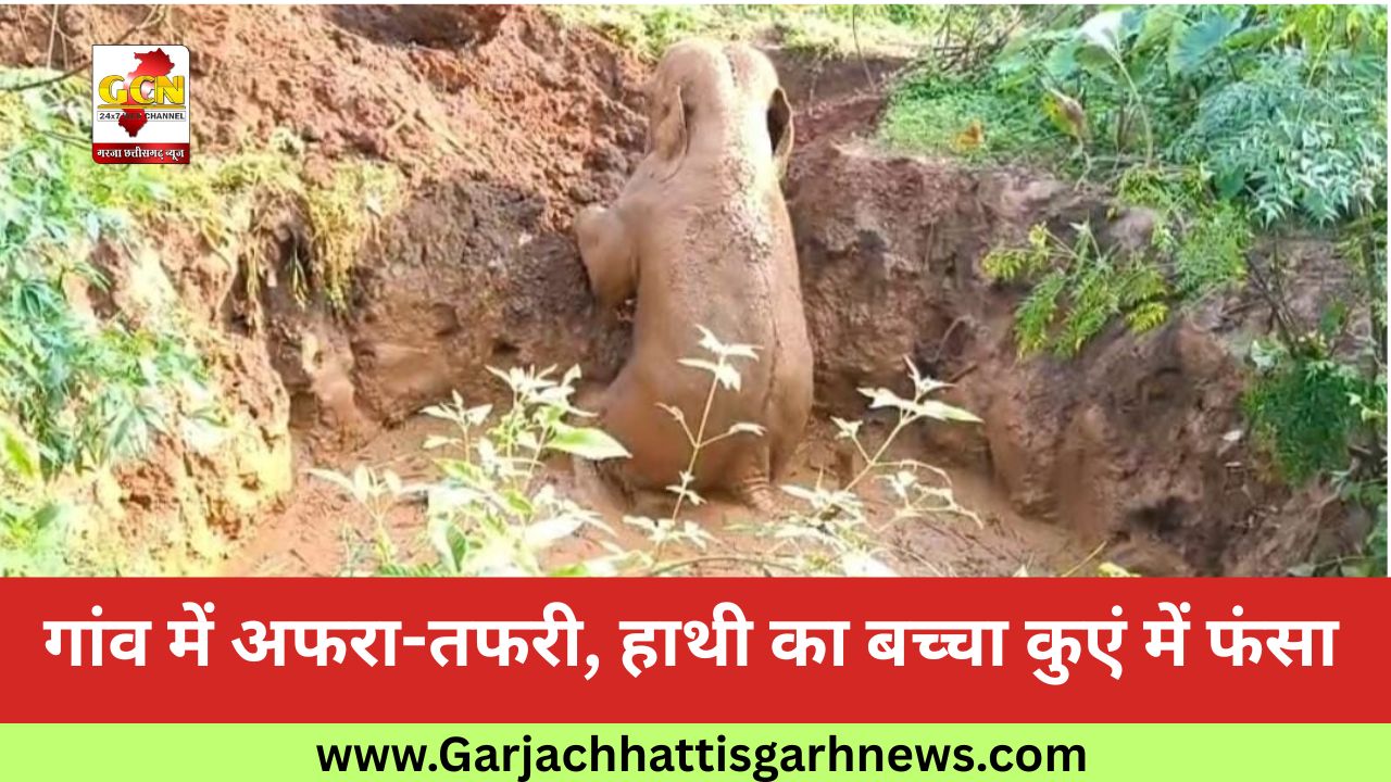 गांव में अफरा-तफरी, हाथी का बच्चा कुएं में फंसा