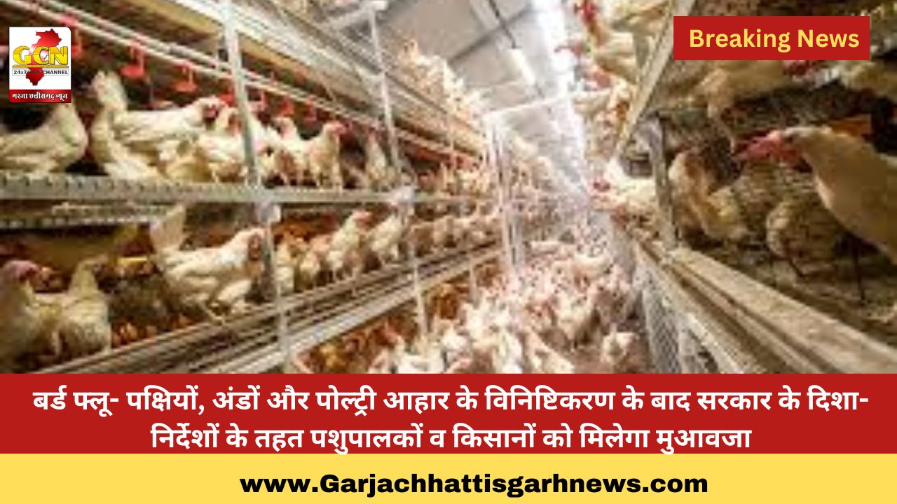 बर्ड फ्लू- पक्षियों, अंडों और पोल्ट्री आहार के विनिष्टिकरण के बाद सरकार के दिशा- निर्देशों के तहत पशुपालकों व किसानों को मिलेगा मुआवजा