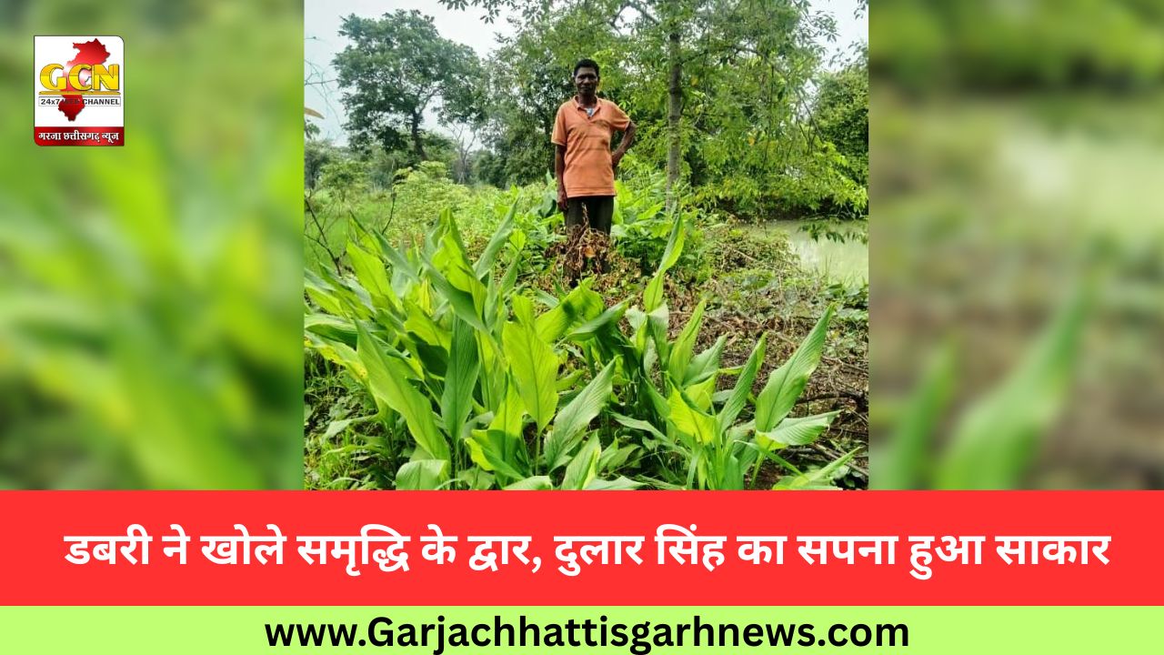  डबरी ने खोले समृद्धि के द्वार, दुलार सिंह का सपना हुआ साकार