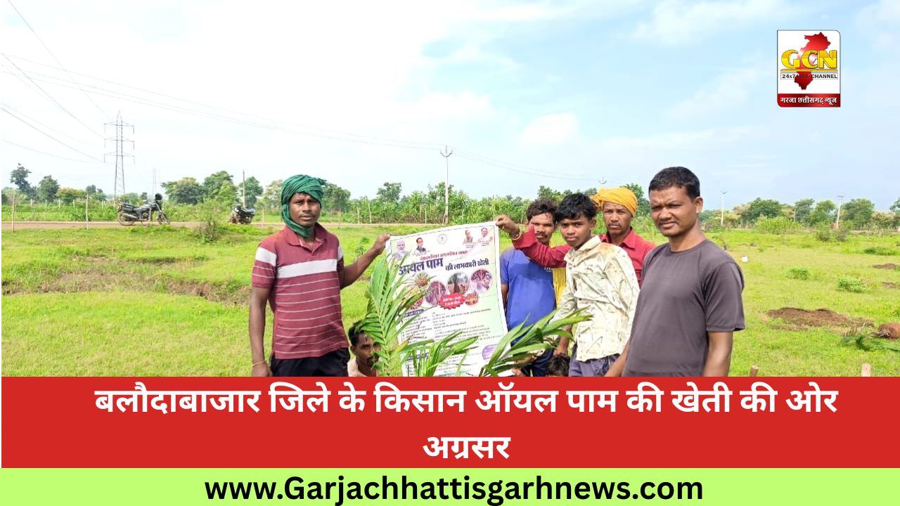 बलौदाबाजार जिले के किसान ऑयल पाम की खेती की ओर अग्रसर