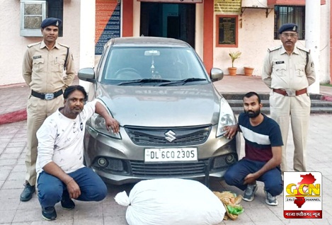 महासमुन्द पुलिस  द्वारा गांजा तस्करो पर लगातार कार्यवाही 