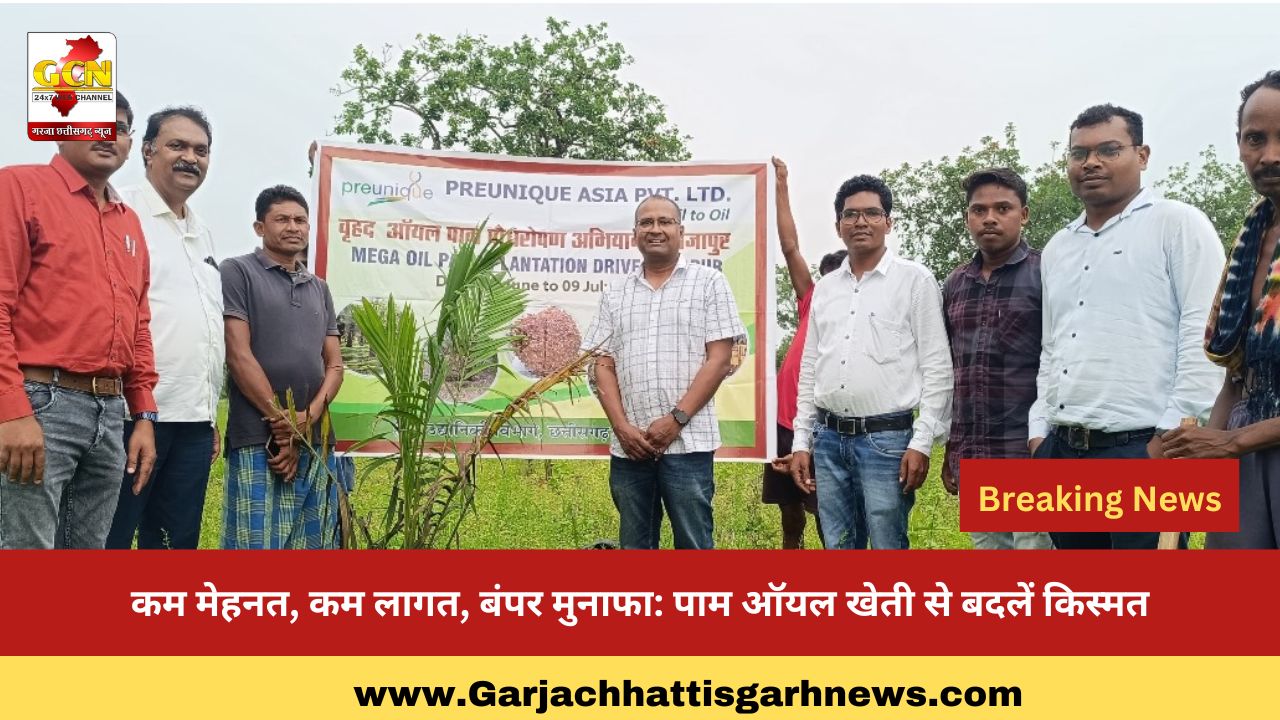 कम मेहनत, कम लागत, बंपर मुनाफा: पाम ऑयल खेती से बदलें किस्मत