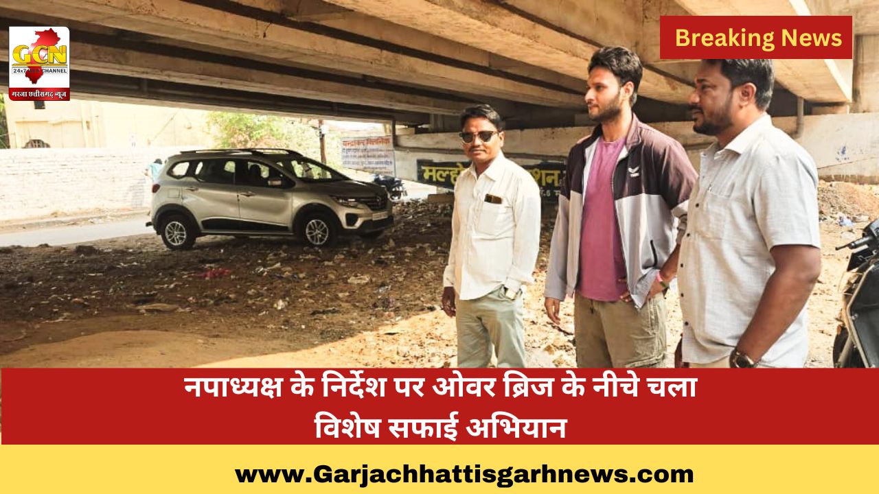 नपाध्यक्ष के निर्देश पर ओवर ब्रिज के नीचे चला विशेष सफाई अभियान