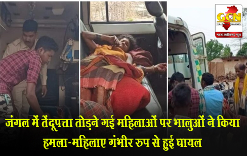 जंगल में तेंदूपत्ता तोड़ने गई महिलाओं पर भालुओं ने किया हमला-महिलाए गंभीर रुप से हुई घायल जंगल में तेंदूपत्ता तोड़ने गई महिलाओं पर भालुओं ने किया हमला-महिलाए गंभीर रुप से हुई घायल