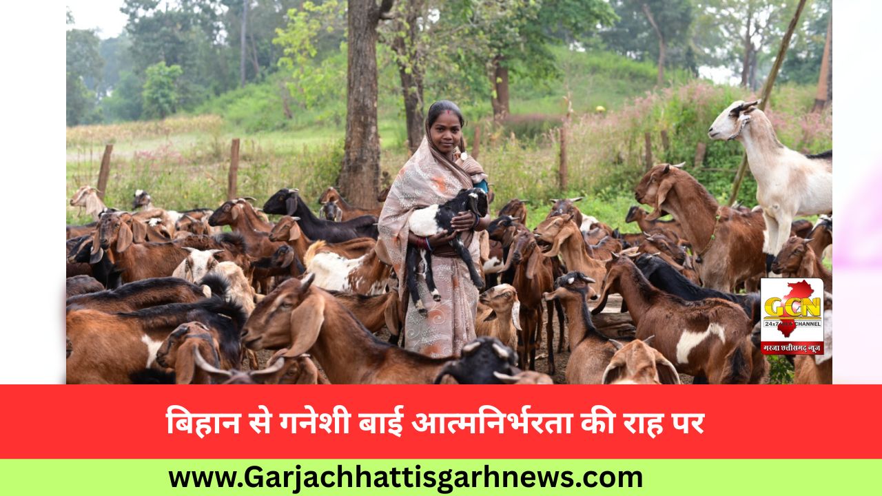 बिहान से गनेशी बाई आत्मनिर्भरता की राह पर बिहान से गनेशी बाई आत्मनिर्भरता की राह पर