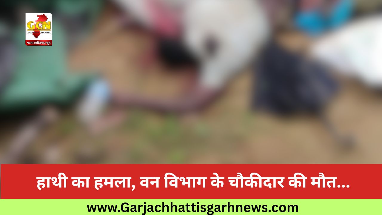 हाथी का हमला, वन विभाग के चौकीदार की मौत...