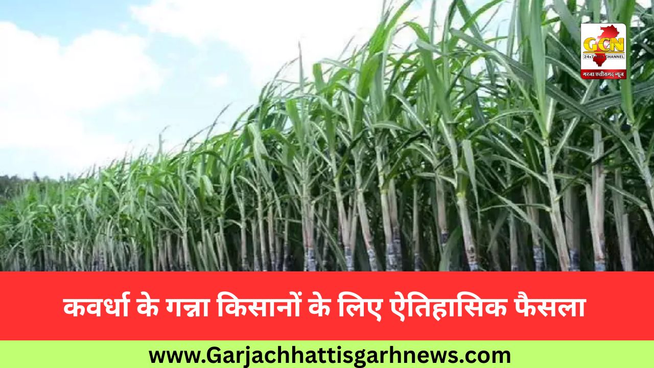 कवर्धा के गन्ना किसानों के लिए ऐतिहासिक फैसला