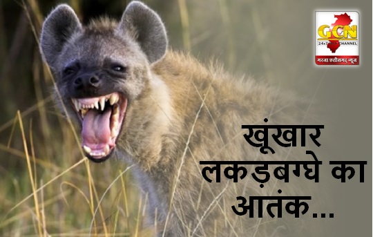 CG NEWS: जगदलपुर में खूंखार लकड़बग्घे का आतंक, युवक पर किया हमला; हुई मौत CG NEWS: जगदलपुर में खूंखार लकड़बग्घे का आतंक, युवक पर किया हमला; हुई मौत